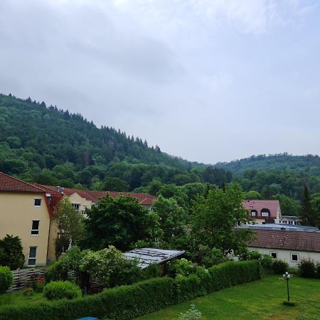 Pension Kreihe Im Harz Bad Lauterberg Exteriör bild