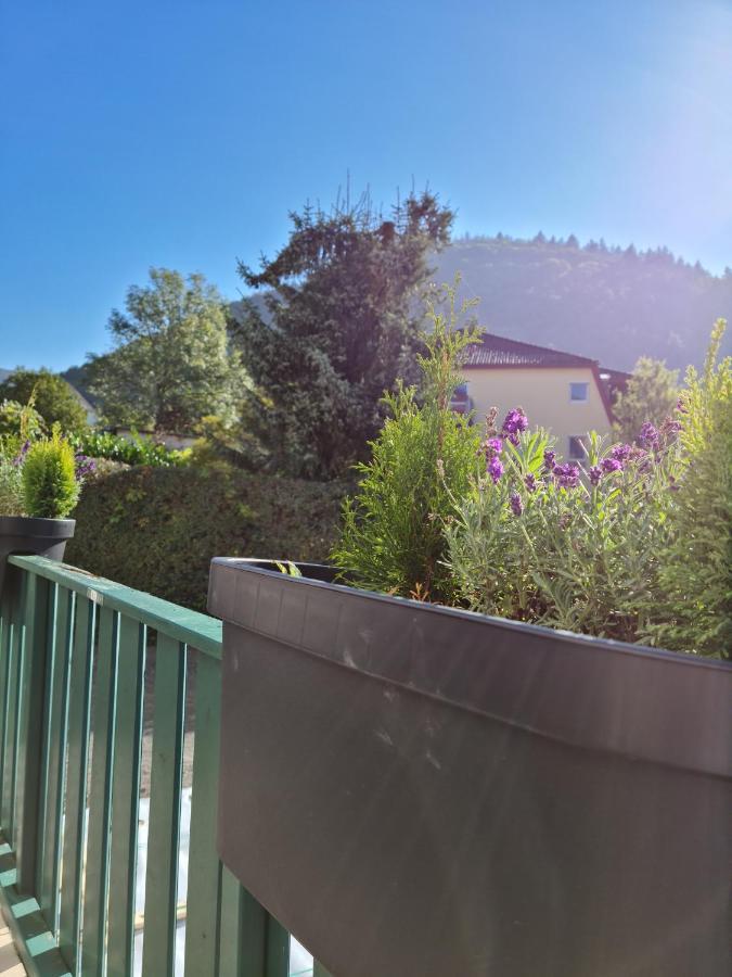 Pension Kreihe Im Harz Bad Lauterberg Exteriör bild