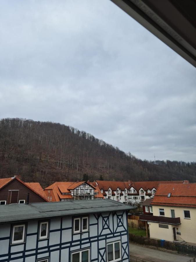 Pension Kreihe Im Harz Bad Lauterberg Exteriör bild